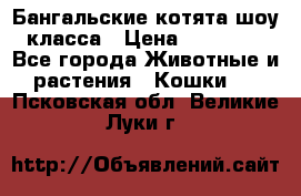 Бангальские котята шоу класса › Цена ­ 25 000 - Все города Животные и растения » Кошки   . Псковская обл.,Великие Луки г.